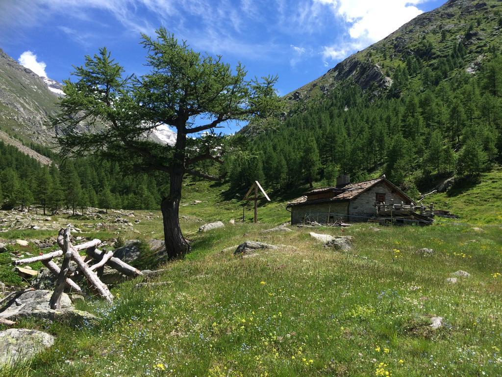 Chalet Sunstar Saas-Grund Exterior photo