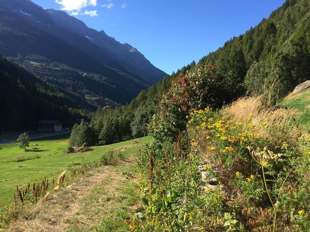 Chalet Sunstar Saas-Grund Exterior photo